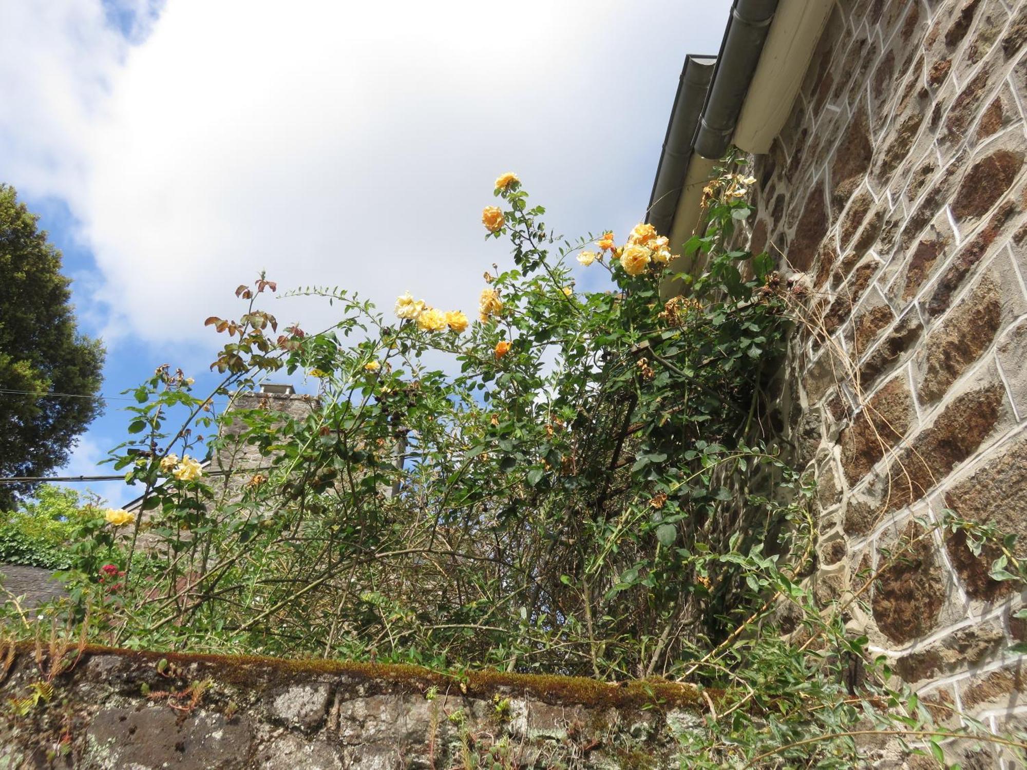 Le Jardin A Mordreuc Bed & Breakfast Pleudihen-sur-Rance Eksteriør bilde